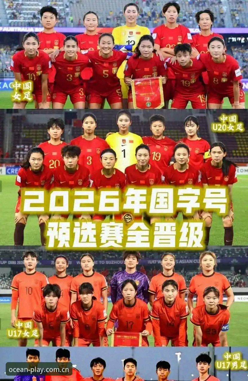 U17世界杯抽签结果揭晓：中国男足战西班牙vs女足遇美国，浩瀚体育平台深度解析